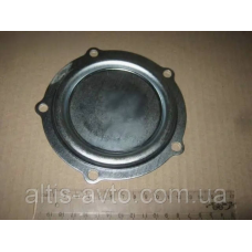 Крышка ступицы ROR TM 9/140x9 (Sampa) 085.047
