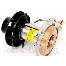Двигатель автономки Eberspacher D4 24V ➤ 252114992000