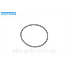 Уплотнительное кольцо (Bosch) F00HN35932