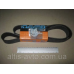 Ремень поликлиновый 10PK1460HD TRUCK (DAYCO) 10PK1460HD