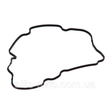 Уплотнит кольцо (Bosch) 2 420 206 014