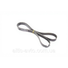 Ремень поликлиновый DAF (Gates) 8PK1816HD
