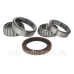 Подшипник ступицы IVECO (SKF) VKBA 5343