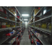Насос топливный Ман Тга , Тгс, Тгм Тгх, Тгл, Тнвд Man Tga высокого давления Насос топливный Ман Тга , Тгс, Тгм Тгх, Тгл, Тнвд Man Tga высокого давления