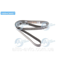 Ремень поликлиновый 8PK2043HD TRUCK (DAYCO) 8PK2043HD