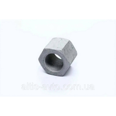 Гайка М24x2 стремянки ROR (Meritor) 21222243
