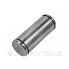 Палец колодки барабанной Renault, Manager, Maxter, R, Major, Premium, Kerax, Magnum AE ➤ 5000716600