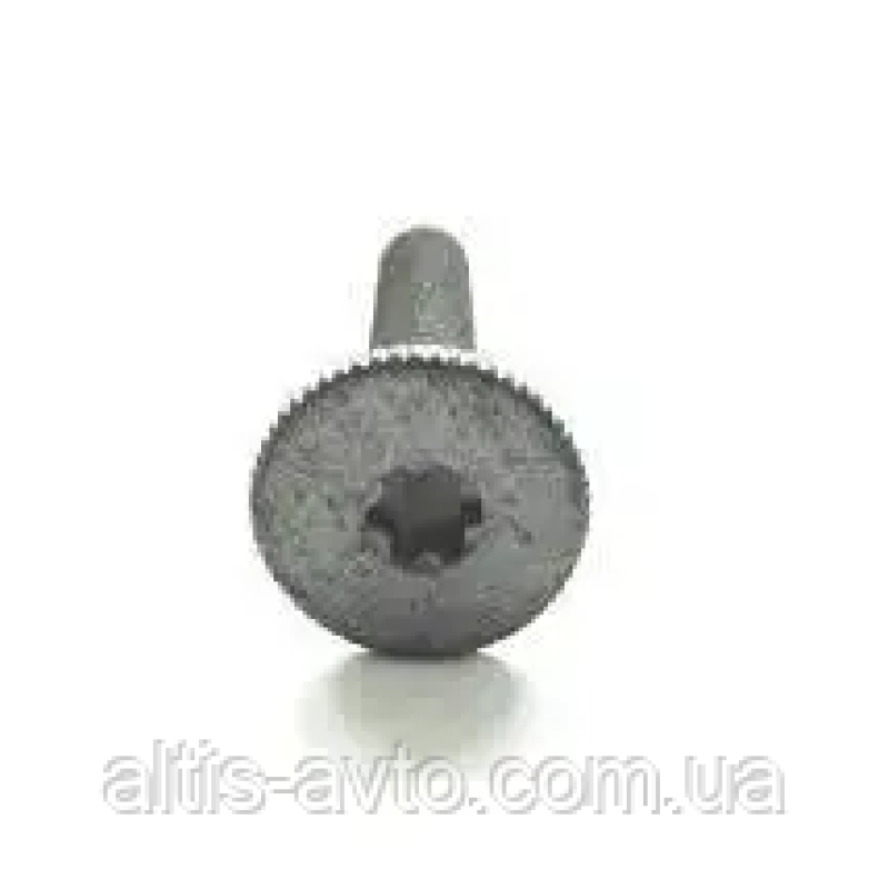 Саморез к полу SCHMITZ М8х45 (1330549) Саморез к полу SCHMITZ М8х45 (1330549)