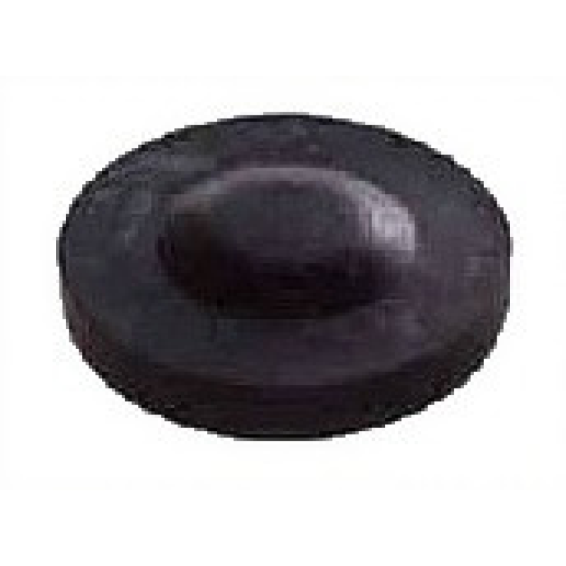 Пробка шкворня Renault Magnum/ Premium 5010630740 Пробка шкворня Renault Magnum/ Premium 5010630740