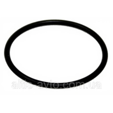 Уплотняющее кольцо Renault Premium 0948381406