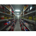 Фильтр воздушный Man Tga, Tgs, Tgx производство Mann Filter для грузовиков 04.00 Фильтр воздушный Man Tga, Tgs, Tgx производство Mann Filter для грузовиков 04.00