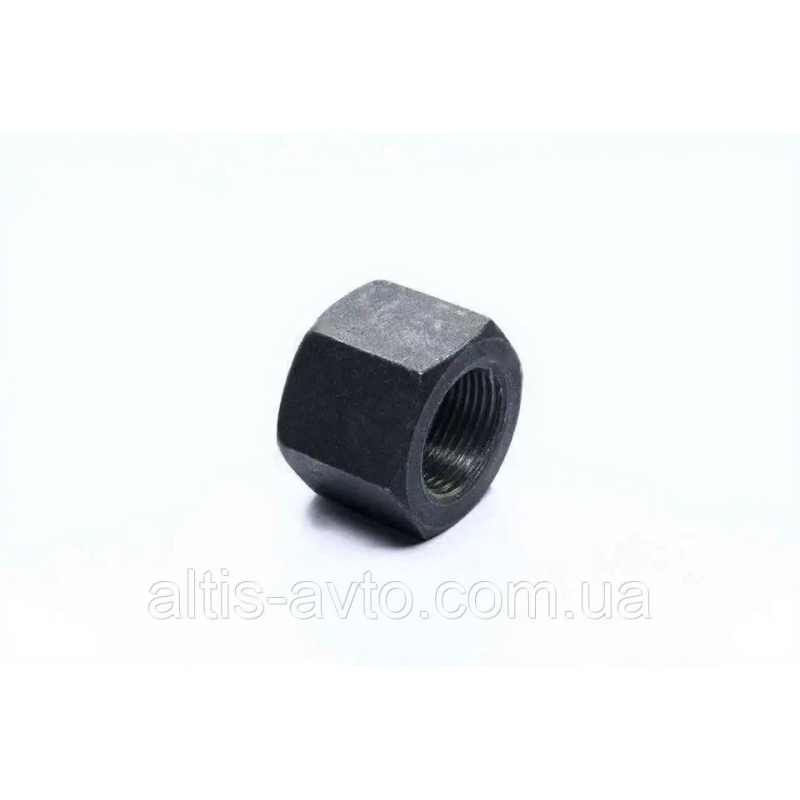 Гайка М22x1,5x25 SW32 BPW, MERITOR, SAF (Febi) 04938