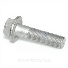 Болт М14x1,5x55 SW19 MAN (Sampa) 020.055