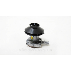 Двигатель автономки/отопителя салона EBERSPACHER D4S 24V ➤ 252145992000-EBER