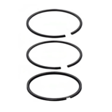 Поршневые кольца 100.00mm (STD) 2,50x2,50x4,00 Mercedes Actros OM501/502, Setra, автобус (VADEN) 1