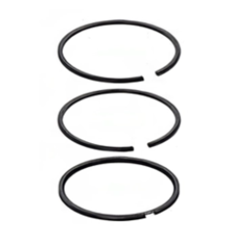 Поршневые кольца 100.00mm (STD) 2,50x2,50x4,00 Mercedes Actros OM501/502, Setra, автобус (VADEN) 1 Поршневые кольца 100.00mm (STD) 2,50x2,50x4,00 Mercedes Actros OM501/502, Setra, автобус (VADEN) 1