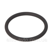 Уплотнит. кольцо (Bosch) 3400210107