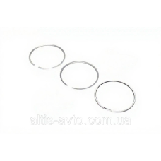 Поршневые кольца  DAF 104.18 (3/2.5/4) DNT620/DNT133 (KOLBENSCHMIDT) 800004610000